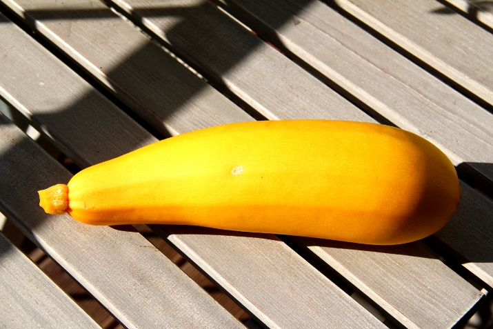 Zucchini